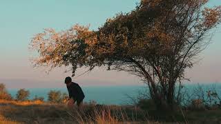 Download lagu 7wigs_Cinta Tanpa Alasan ( Video Clips) mp3