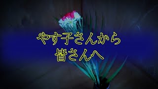 【座敷童子ンち】“また会いに来ます”やす子さんの心温まる贈る言葉【まるで世にも奇妙な物語】ユーチューバー、幽霊、パワースポット、オカルト、ホラー、怪談、物語、スピリチュアル、座敷わらし、パワースポット