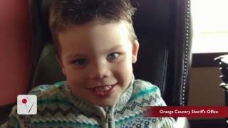 Officials "Confident" They've Killed Alligator In Deadly Toddler Attack