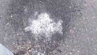 How to Remove-/clean old oil stain from asphalt, Driveway,  garage floor, Oil Solutions, Part 1.
