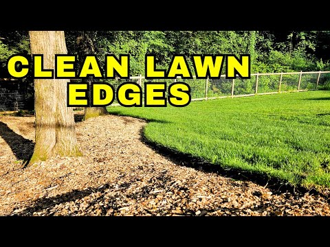 Easiest Way to Edge Flower Beds