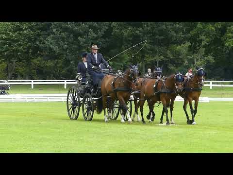 02 KNEIFEL Sven, First Part Of  Dressage, P 4, Rastede, 22 07 2022