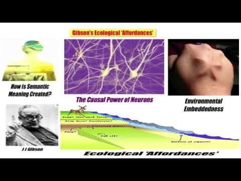 10) Gibson's Ecological 'Affordances'