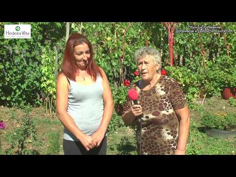 Razgovori pokraj puta Svekrva i snajka - Obicaji Radjevine - Dobrivoje i Dobrila Pantelic