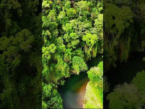 PARADISE IN BRAZIL! Iporanga-SP / PETAR: Nature’s Masterpiece #petar #brazil #adventure