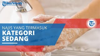 Najis Mutawassitah, Najis yang Masuk dalam Kategori Sedang