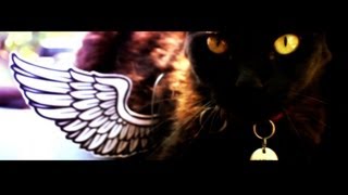 Gloria Trevi &quot;No Soy Un Pájaro&quot; (Official Lyric Video)