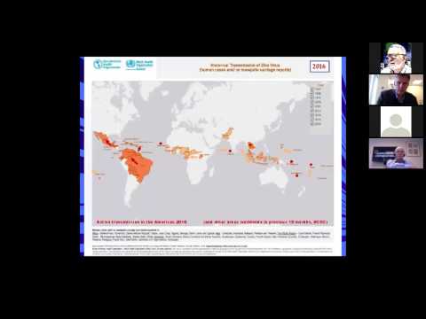 Using Gene Drives to Counter Zika