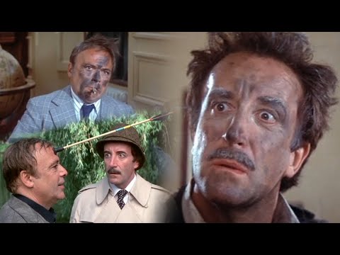 Best Moments from the Pink Panther Films