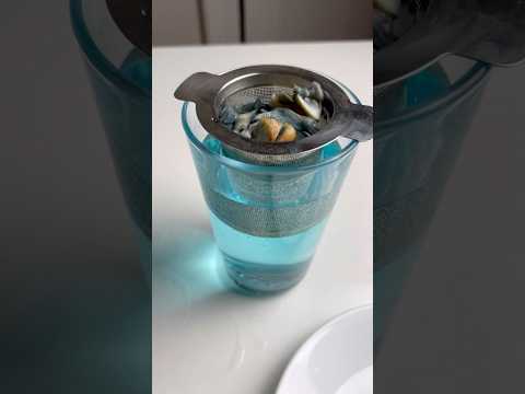 Dare to be different!! Mushroom blue juice drink.