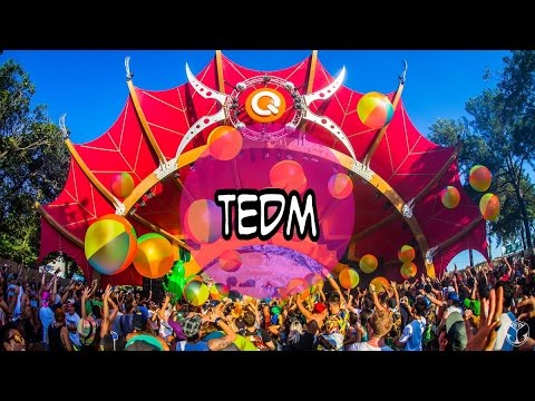 Zaeden feat  Nina & Malika – Never Let You Go | TEDM