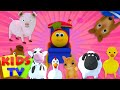 Bob, The Train | Went To The Farm | Old ...