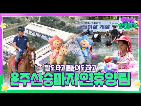 말도 타고 물놀이도 하고 