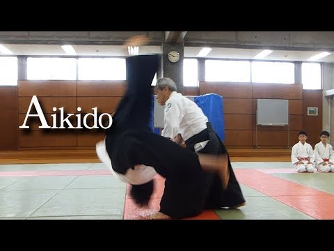 Aikido - Shirakawa Katsutoshi shihan 合気道 白川勝敏 師範 2018