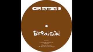 Fatboy Slim - Lincoln Memorial