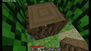 playing on minecraft indef (archive)