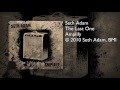 Seth Adam - The Last One