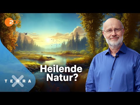 Die unterschätzte Klimachance [Ganze Doku] | Harald Lesch | Terra X Harald Lesch
