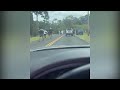 Police Release New Details About Large Hilo Brawl