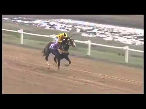 7° Carrera - 1° Sub Wave (SINT-Melo)