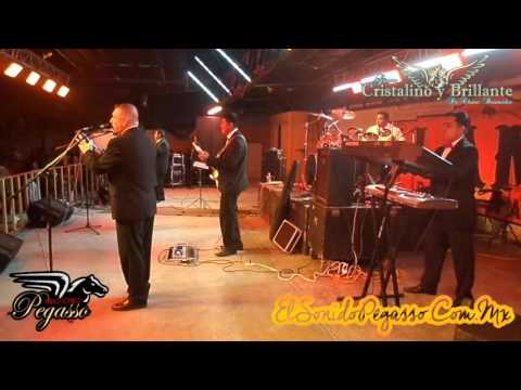 Cristalino y Brillante - Amor Maquiavelico