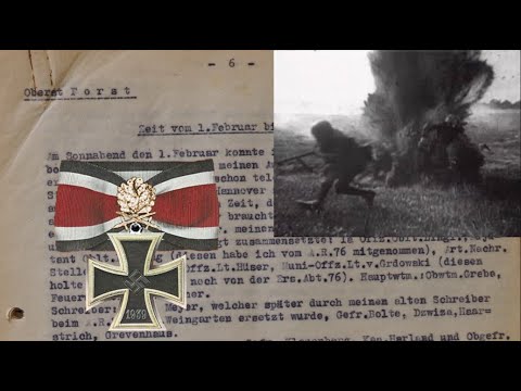 Knight's Cross w oak leaves recipient original war diary Arko 176 war in Russia Pt 1, Colonel Forst