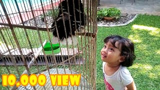 Download lagu Burung Jalak Hongkong Yang Pintar Part 1 mp3