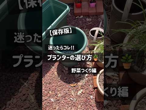 pot-céramique-émaillée-noire-érable-Japon-nain-terrasse-balcon-ville