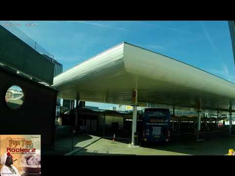 Chinese Assassin Djs Fish Tea And Rockerz