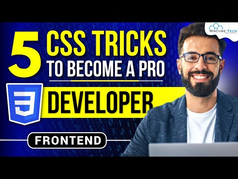 CSS Full COURSE for Beginners in 4 HOURS Learn CSS in 2024 with Practical