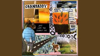 Music video thumbnail preview for Disconnecty by Grandaddy