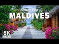 Wonders Of Maldives The Most Amazing Places In Maldives Travel Video 4K