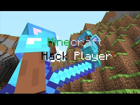 Report 4321man1234, PastelliNamiko and artturi05 Hack - Minecraft