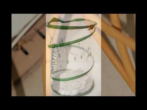 Lori Anne Probst Photography, LLC video.