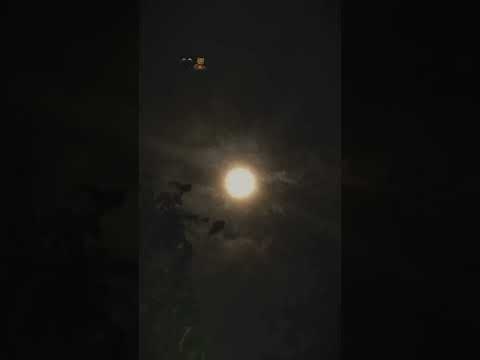 #yosoydelos7mil La Luna Que preciosa mi reina hermosa Neiva Huila Colombia