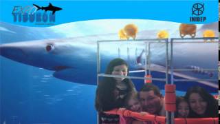 DIA 3 Expo Tiburon21