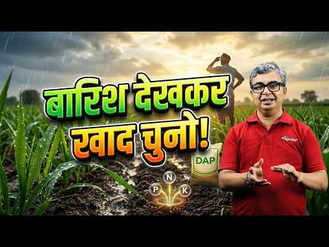 खाद डालने में ये गलती मत करना! फसल बर्बाद हो जाएगी