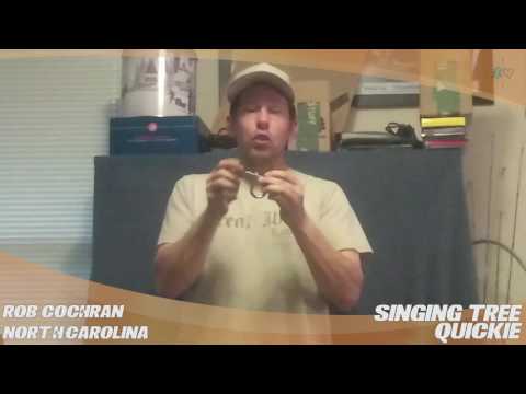 YouTube Thumbnail EkuYb0UENgg