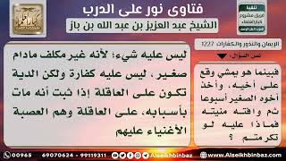 صورة 1227 - حكم الكفارة على غير المكلف في قتل أخيه خطأ - نور على الدرب