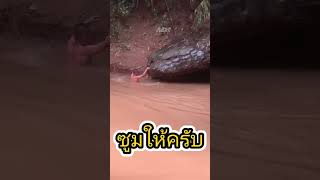 Download lagu KEMUNCULAN BATU ULAR DI THAILAND π±π±#shorts #shortvideo mp3 Download lagu KEMUNCULAN BATU ULAR DI THAILAND π±π±#shorts #shortvideo mp3