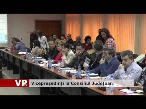 Vicepreședinți la Consiliul Județean