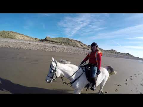 Rum and Shaman Kenfig 2019-10-27 No sound