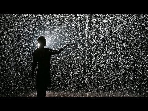 The Rain Room - Amazing!