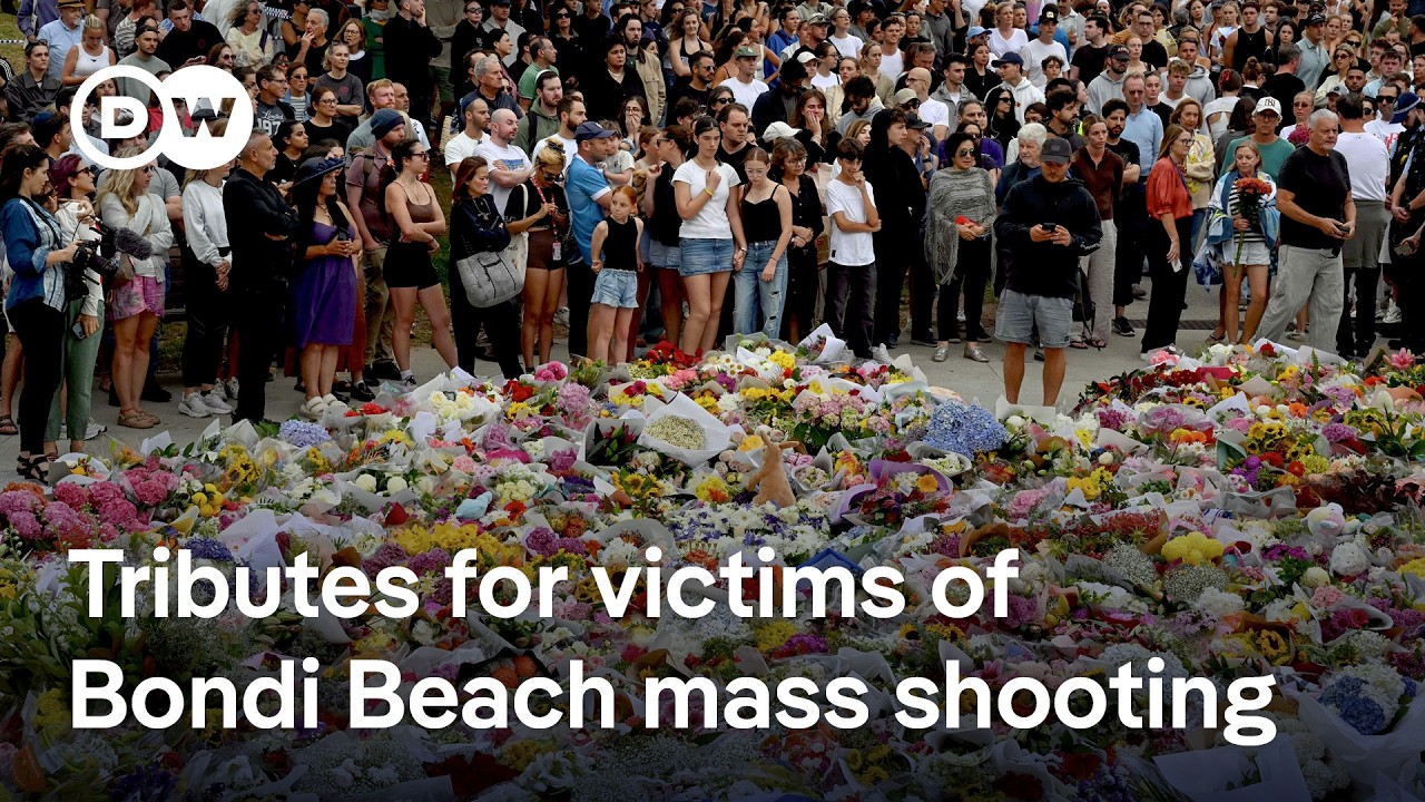 What we know about the Sydney terror attack | DW News