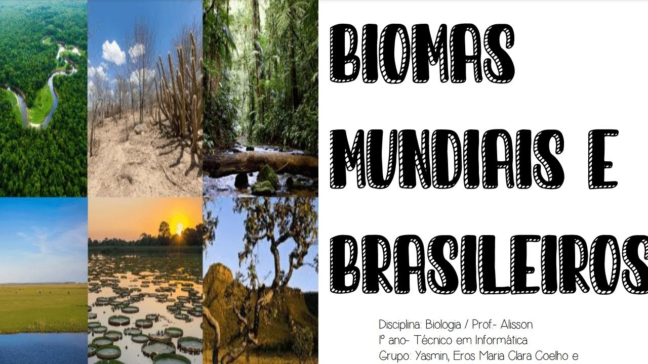 biomas mundias e brasileiros (Trabalho de Biologia)