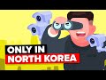 Weird Things That Only Exist in North Korea