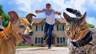 I Let My Cat & Dog Walk Me For A Day - CAT vs DOG Challenge