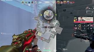 パール レイナ 12 28 2024