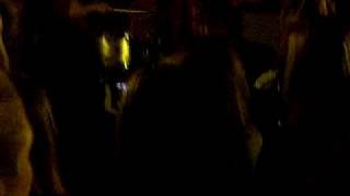 My Favorite Highway - Bigger Than Love (Live)