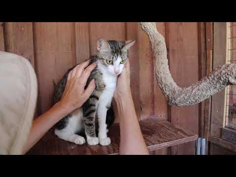 Vídeo de KAYLA